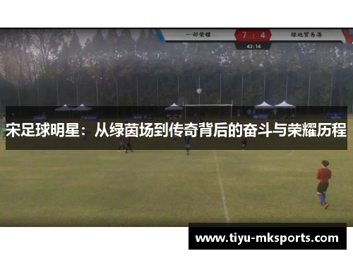 宋足球明星：从绿茵场到传奇背后的奋斗与荣耀历程
