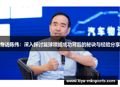 专访陈伟：深入探讨篮球领域成功背后的秘诀与经验分享