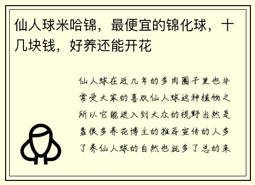 仙人球米哈锦，最便宜的锦化球，十几块钱，好养还能开花