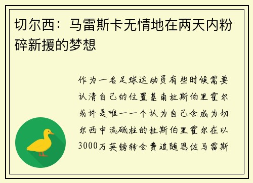 切尔西：马雷斯卡无情地在两天内粉碎新援的梦想